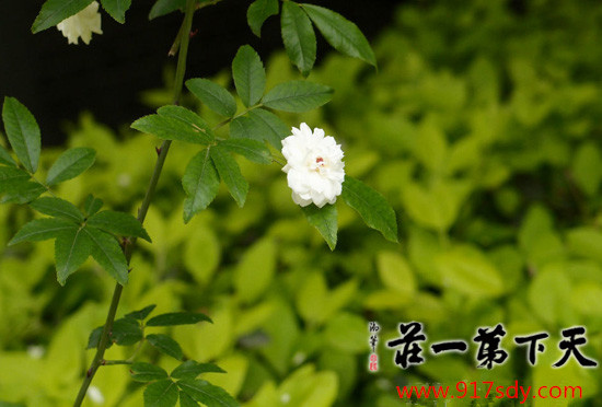 抚顺市一日游景区,抚顺市一日游景区推荐 抚顺市一日游景区,抚顺市一日游景区推荐