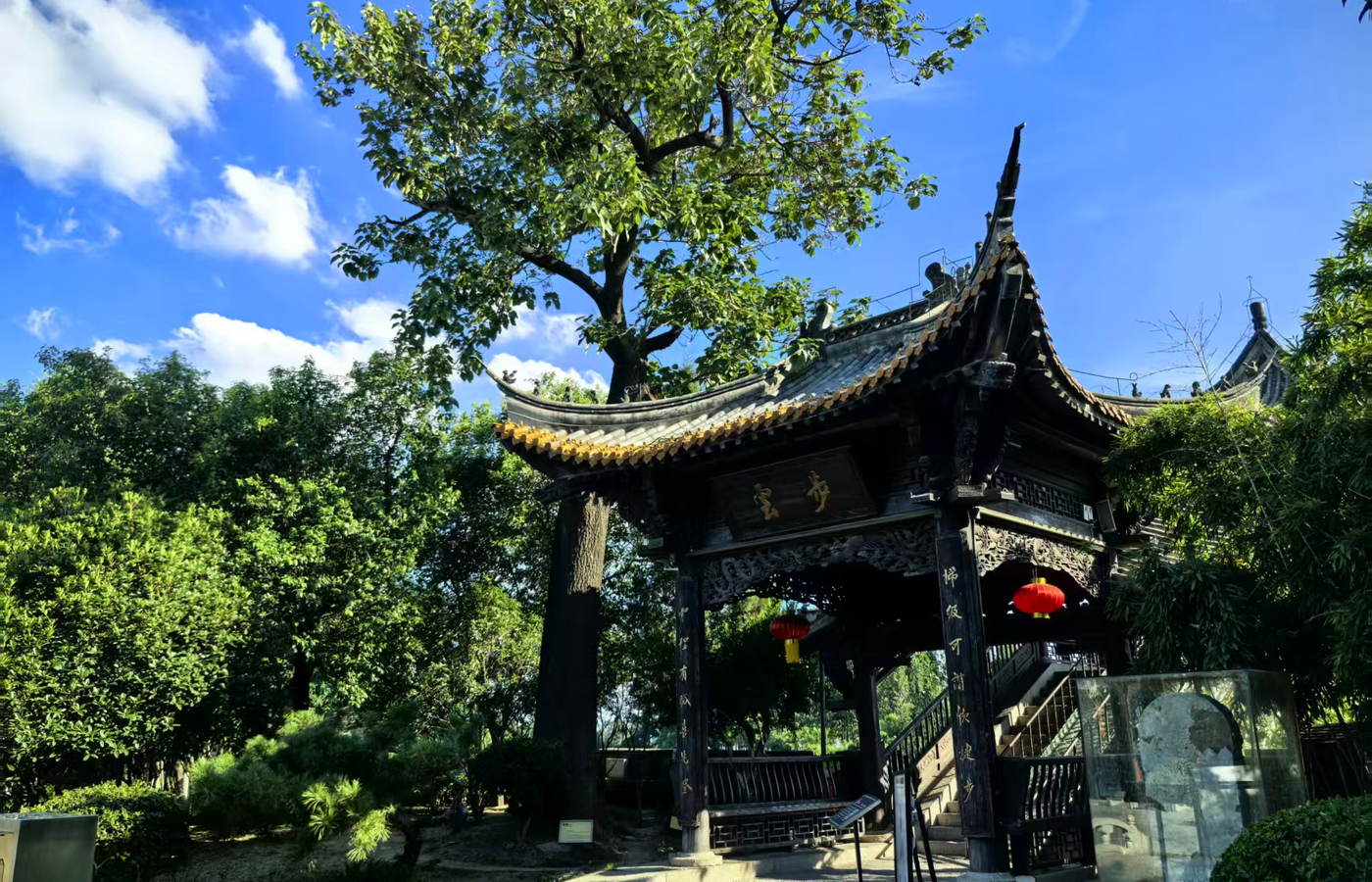 台儿庄古城园林亭台与古树
