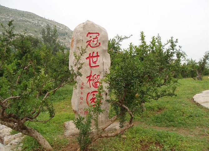 枣庄万亩石榴园-冠世榴园 枣庄万亩石榴园-冠世榴园