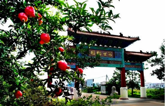 枣庄冠世榴园