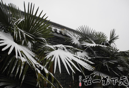 台儿庄古城雪景五