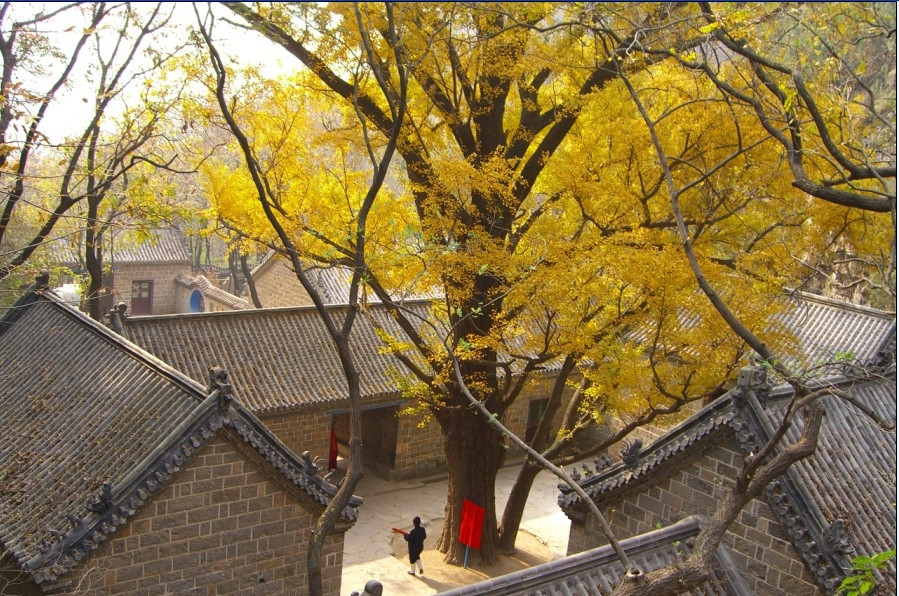 2019年抱犊崮美景欣赏
