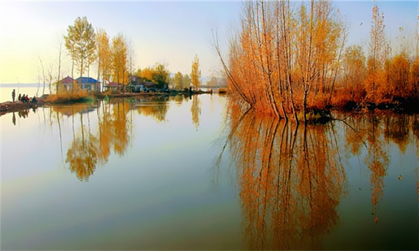 枣庄旅行社推荐美图：微山湖四季美景