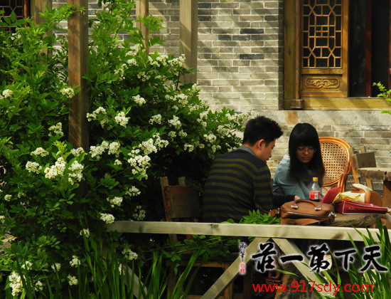 【图片欣赏】台儿庄古城初夏美景