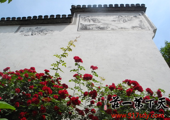 【图片欣赏】台儿庄古城初夏美景