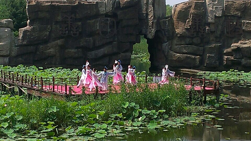 枣庄旅行社带你去微山湖看《梁祝》