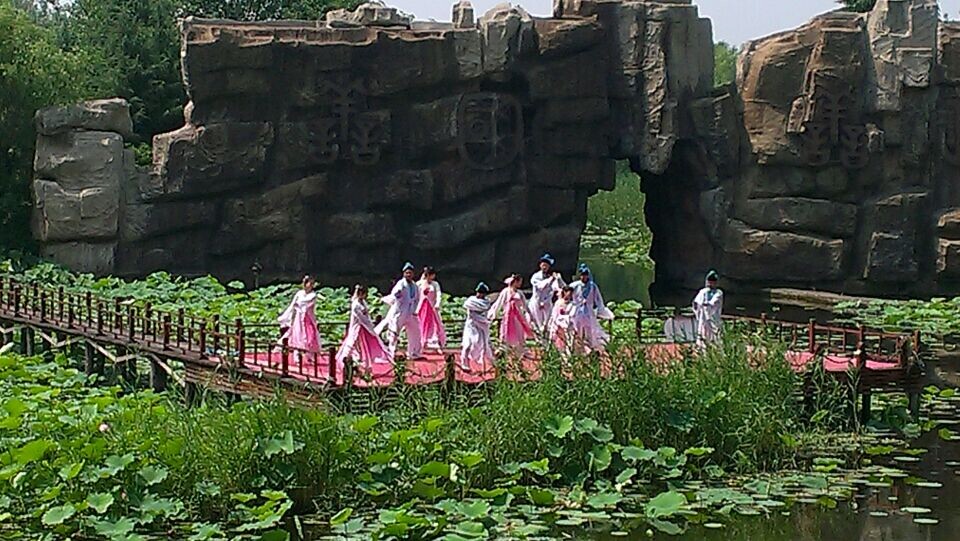 枣庄旅行社带你去微山湖看《梁祝》